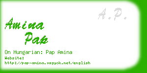 amina pap business card